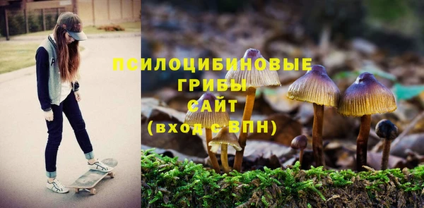 прущие крисы Россошь