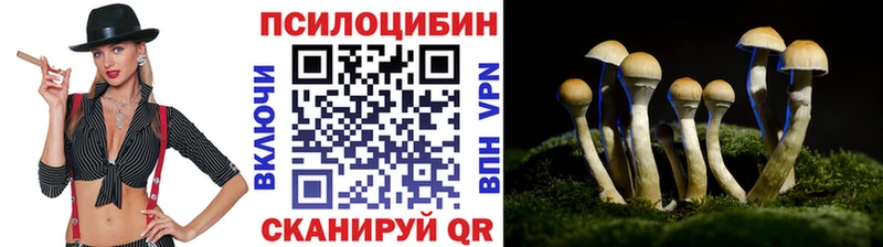 Галлюциногенные грибы мицелий  мориарти наркотические препараты  Сертолово 