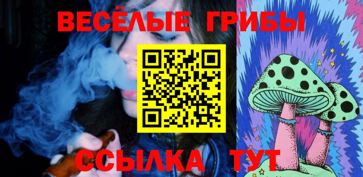 Псилоцибиновые грибы Psilocybe Сертолово