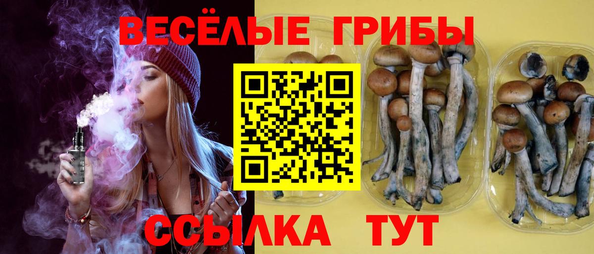 купить наркотик  Галлюциногенные грибы Psilocybe  Вход с VPN  Галлюциногенные грибы прущие грибы  Сертолово 
